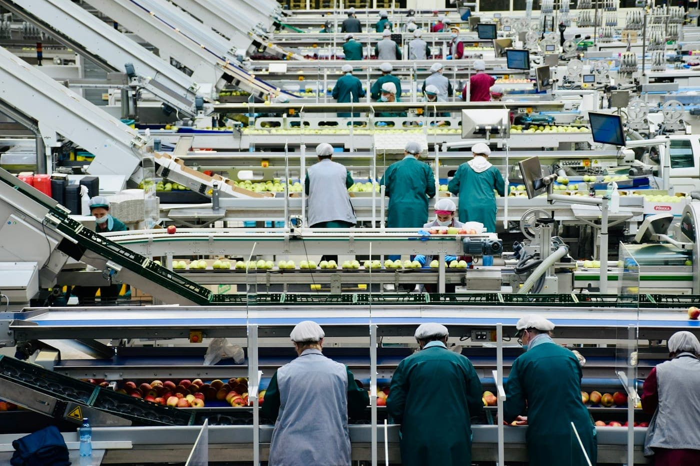Workers on a food production line